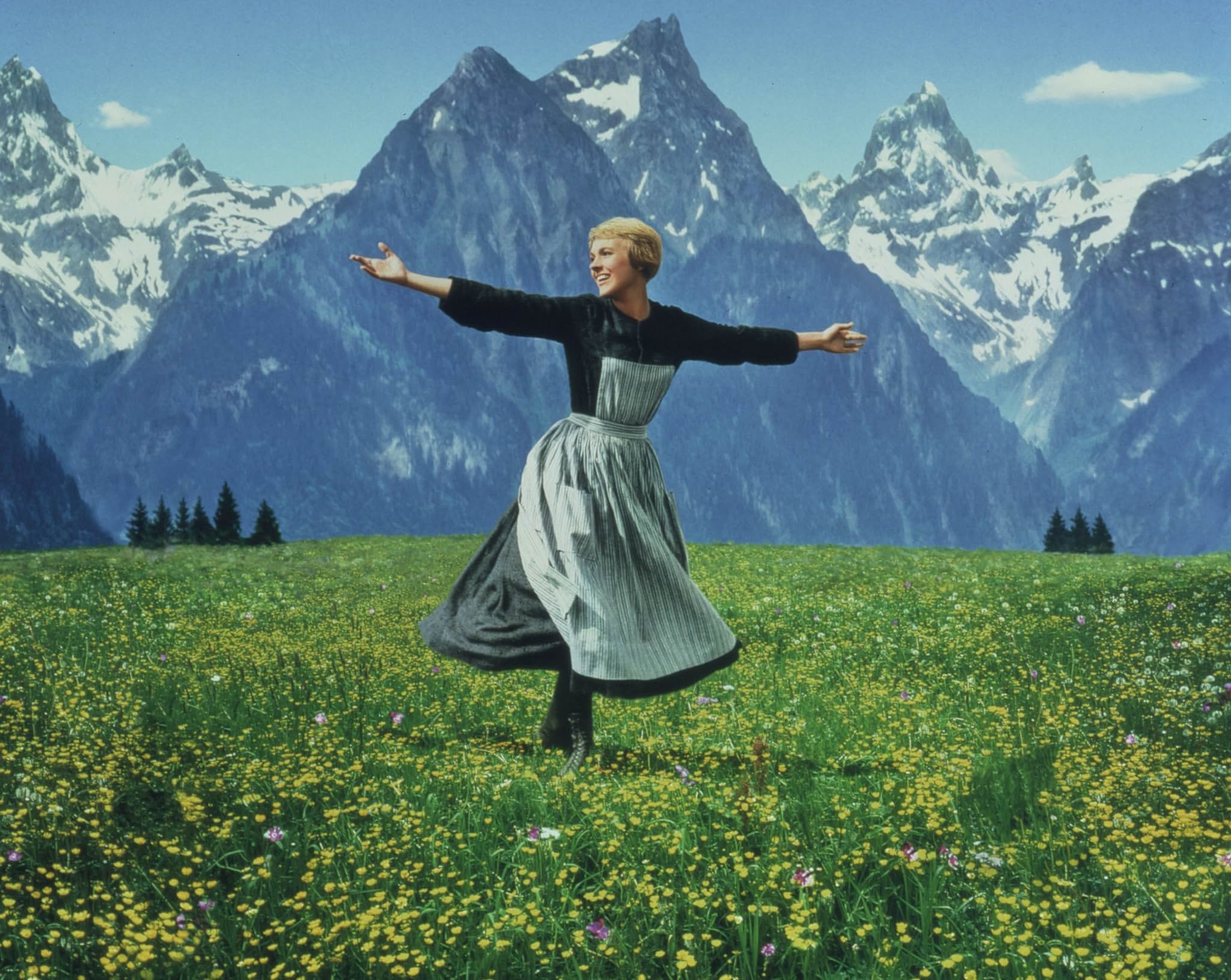 Julie Andrews in The Sound of Music (1965)