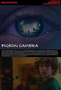 Primary photo for Pigeon Camera