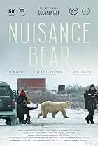 Nuisance Bear