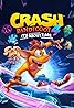 Crash Bandicoot 4: It's About Time (Video Game 2020) Poster