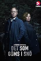 Det som göms i snö