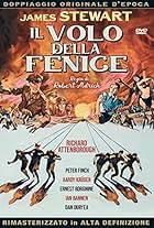 Il volo della Fenice