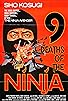 Primary photo for Nine Deaths of the Ninja