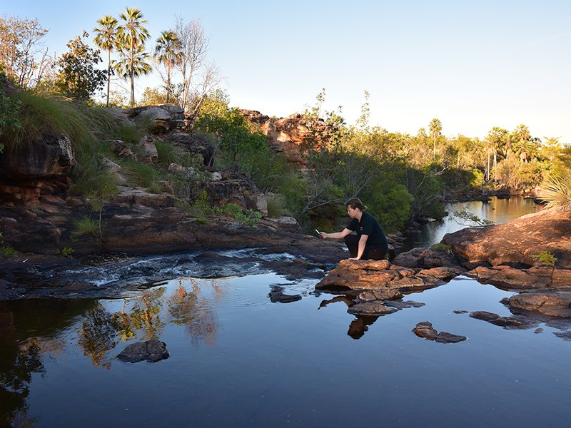 Dr Jodi Rowley recording with FrogID app