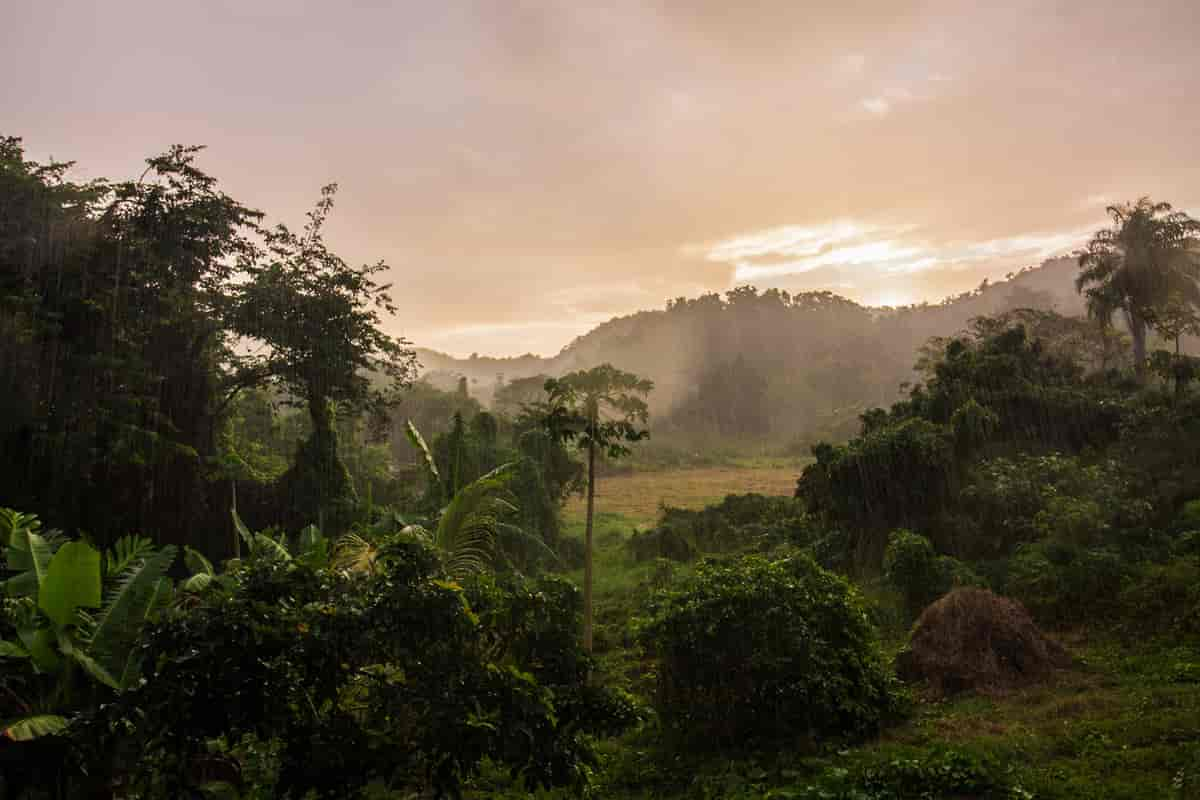 regn i Guadeloupe