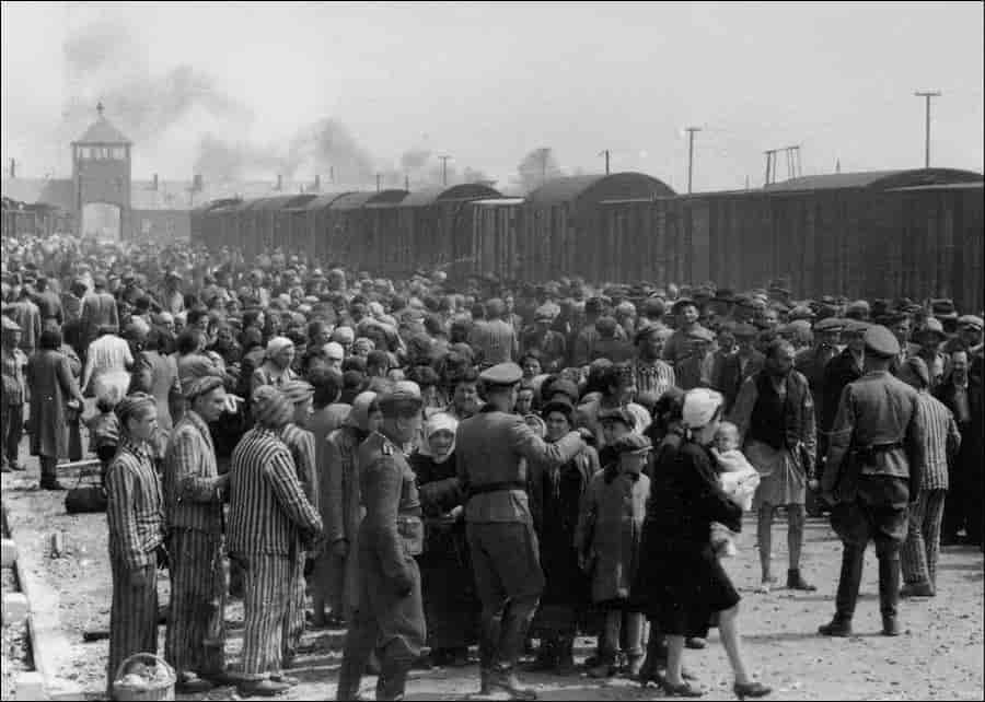 Birkenau