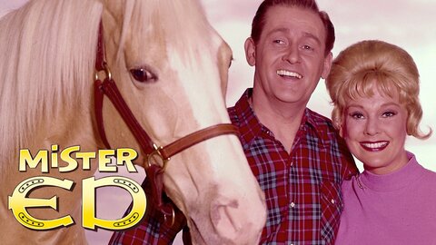 Mister Ed