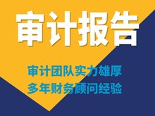 财务审计,专项审计,招投标审计,查账审计,离任审计,审计报告