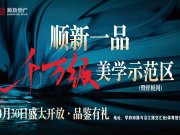 冷水江市冷水江城区冷水江顺新一品楼盘新房真实图片