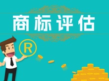 怀化评估报告 国企资产评估 设备报废评估 资产评估