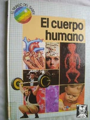 EL CUERPO HUMANO