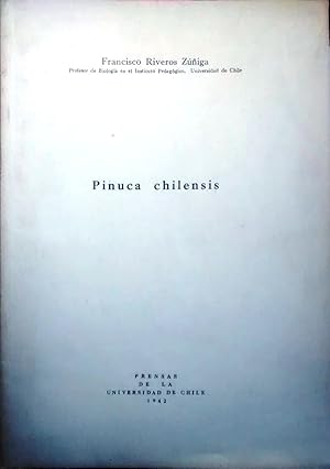 Pinuca chilensis