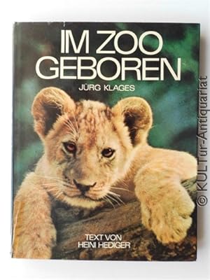 Im Zoo geboren.