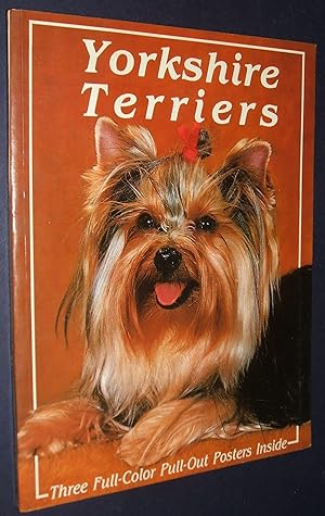 Yorkshire Terriers