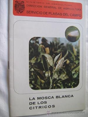 LA MOSCA BLANCA DE LOS CÍTRICOS