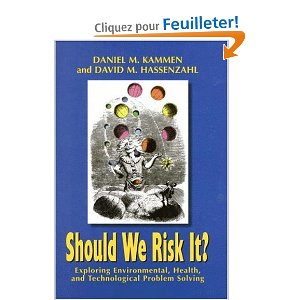 Should We Risk It?: Exploring Environmental, Health, and Technological Problem Solving