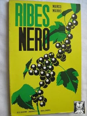 RIBES NERO