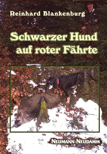 Schwarzer Hund auf roter Fährte. Nachsuchen mit unseren Brandlbracken ernste Passion - hartes Wai...