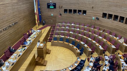 L’oposició abandona el ple de les Corts en protesta pel comportament de Vox i el PP