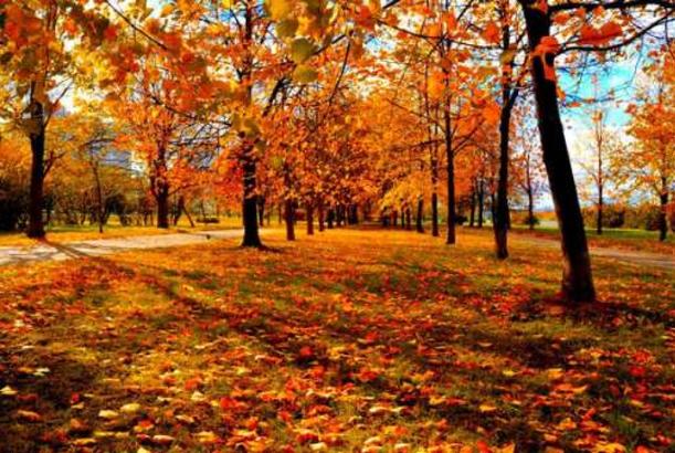 Autumn to start Azerbaijan on September 22