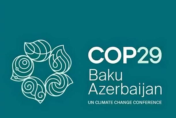 Azerbaijan to prepare transparency report before COP29