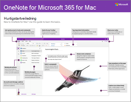 Hurtigstartveiledning for OneNote 2016 for Mac