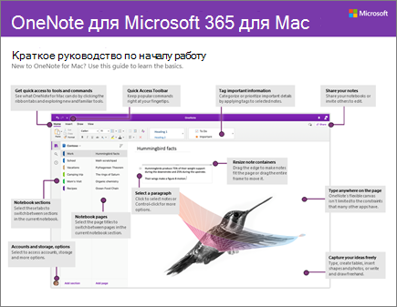 Краткое руководство по началу работы с OneNote 2016 для Mac