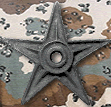 Military_barnstar_01.png