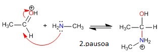 2. pausoa: azido-base oreka