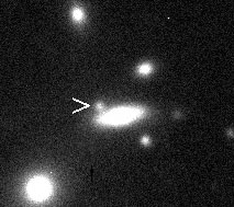 Supernova SN 2010cr in NGC 5177