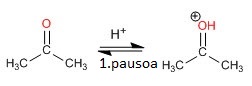 1. pausoa: karboniloaren protonazioa.