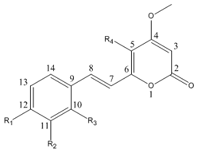 The general structure of the kavalactones, without the R1-R2 -O-CH2-O- bridge and with all possible C=C double bonds shown.