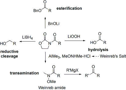 Evans' chiral oxazolidinone cleavage