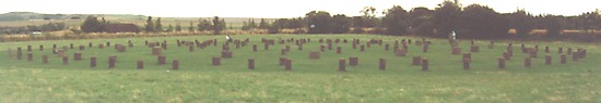 Woodhenge, 1993