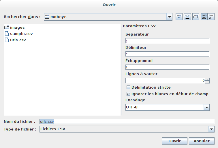 Configuration of the CSV file format.