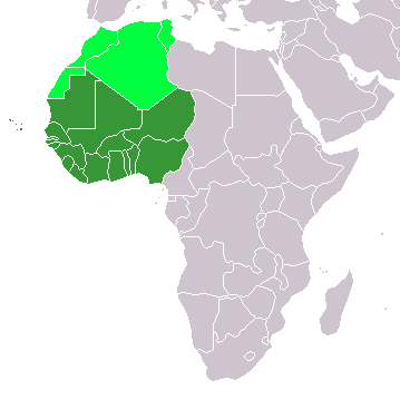 Map of Africa with the western countries highlighted