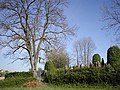 Jüdischer Friedhof