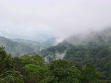 Brahmagiri wildlife sanctuary.jpg