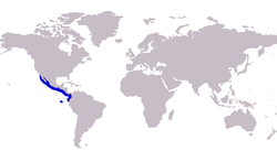 Approximate range of the Pacific crevalle jack