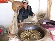 Mulher uigur em uma fábrica de seda, Cotã