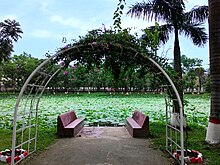 Padma Pukur, Barisal.jpg