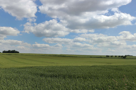 Plateau de l'Artois près de Beaumetz-lès-Loges.