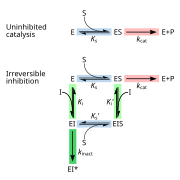 Enzyme inhibitor