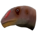 Omeisaurus