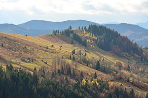 На окраїні села