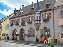 Skyline of Eguisheim