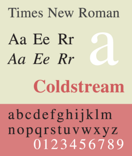 Voorbeeld van Times New Roman