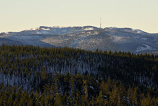 Blick vom Hohloh zur Hornisgrinde