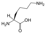 Chemical structure of Lysine