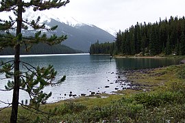 Le lac Maligne